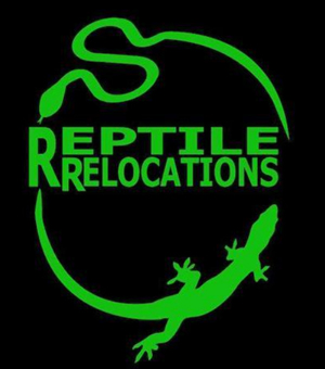 reptile relocations